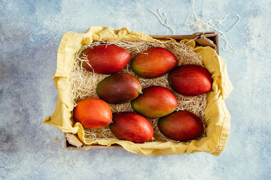 Mangue bateau / Shipped mango Image