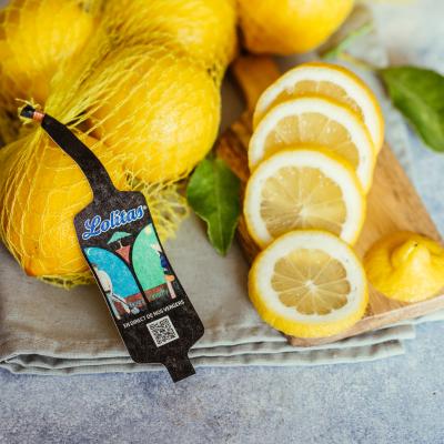 Citron Filet 500g / Citrus 500g