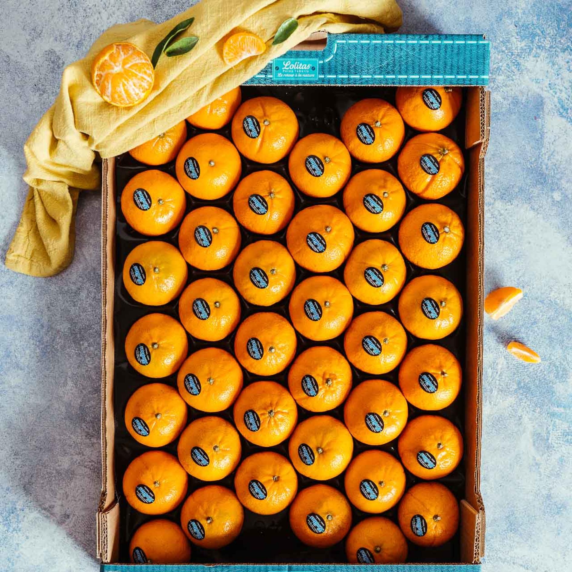 Clémentine / Mandarine litée 1 rang