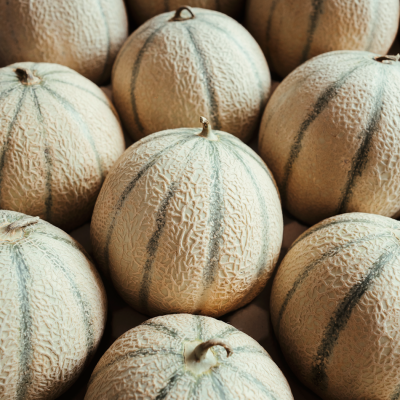 Melons charentais - Origine Maroc, Espagne & France