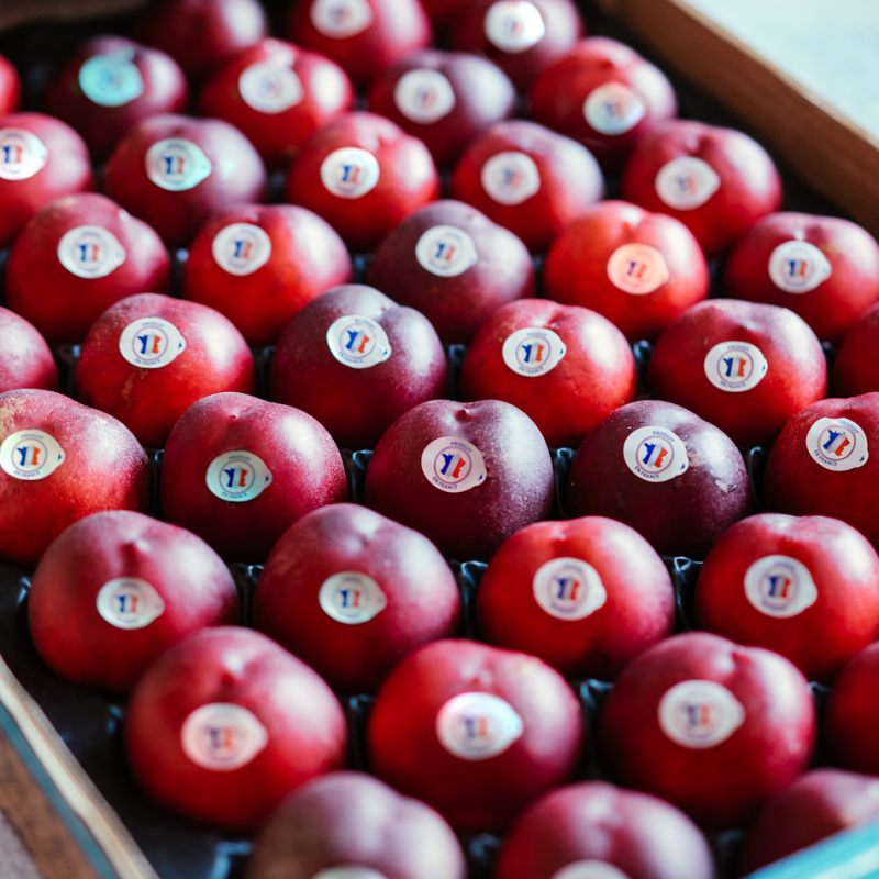 Nectarines blanches - Origine France