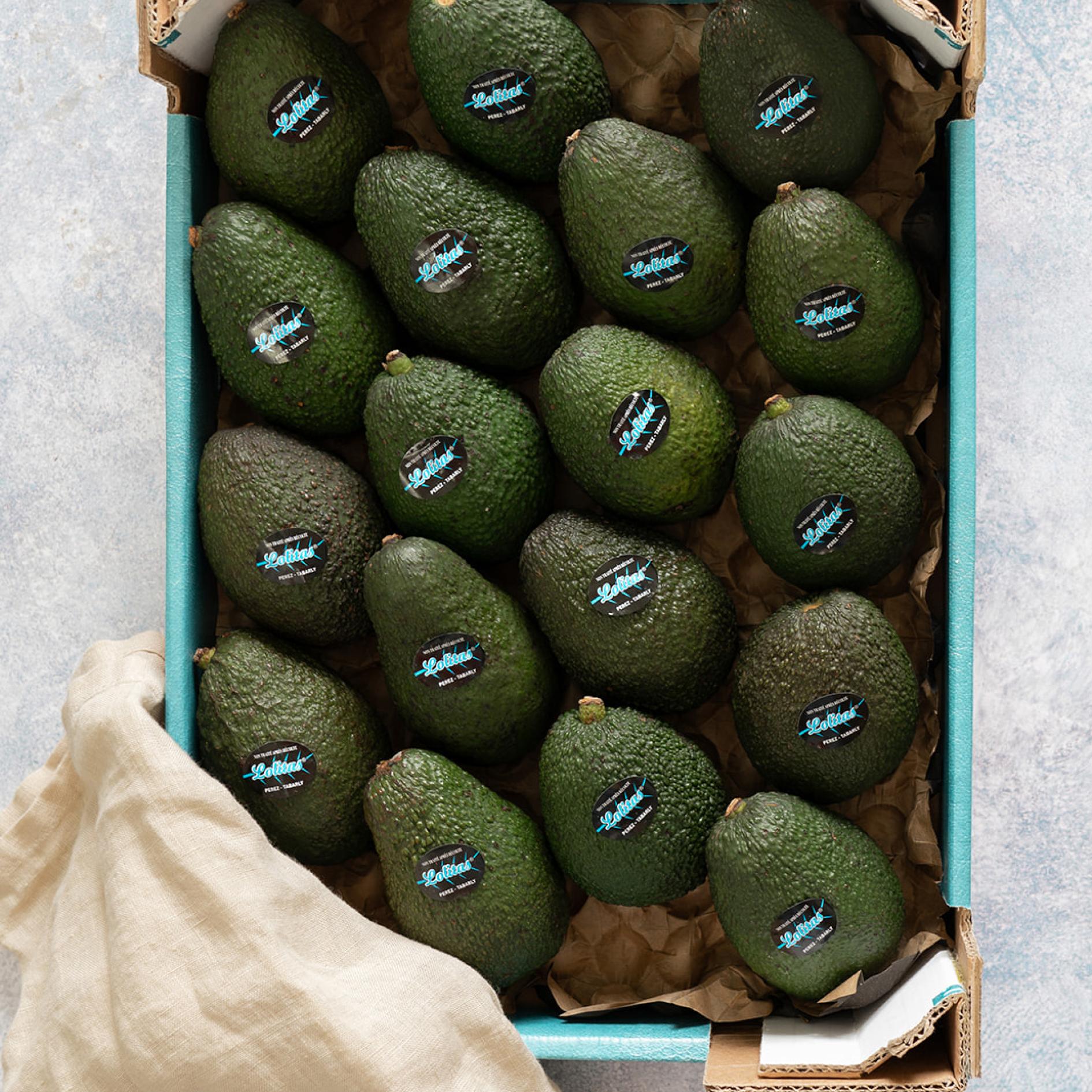 Avocats 1