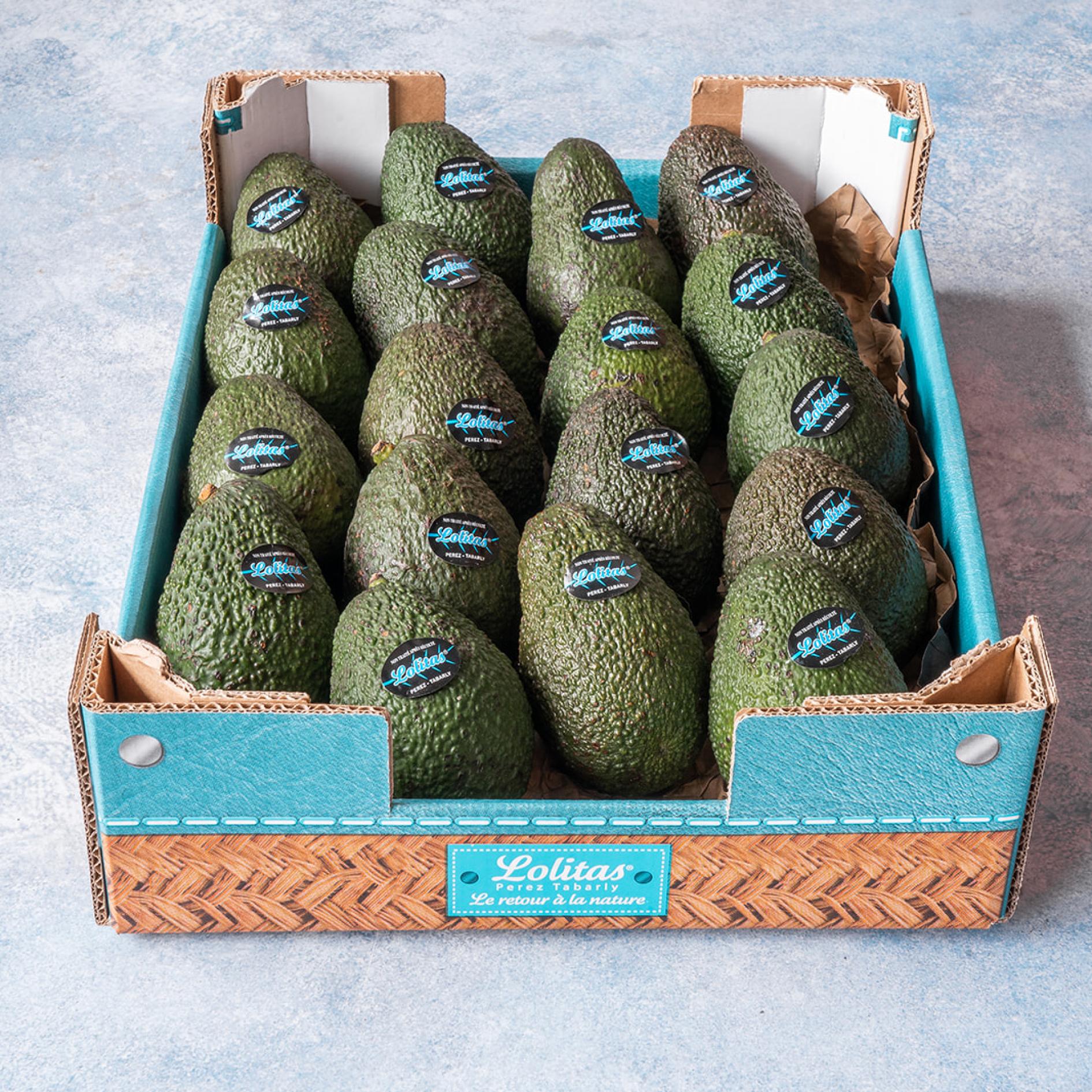 Avocats 2